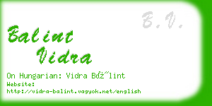 balint vidra business card